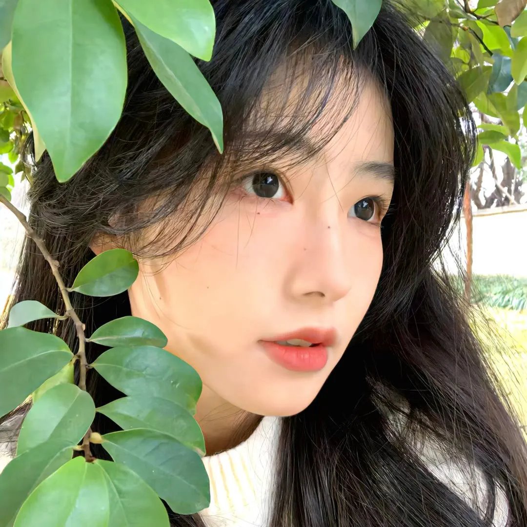 一梦如故
